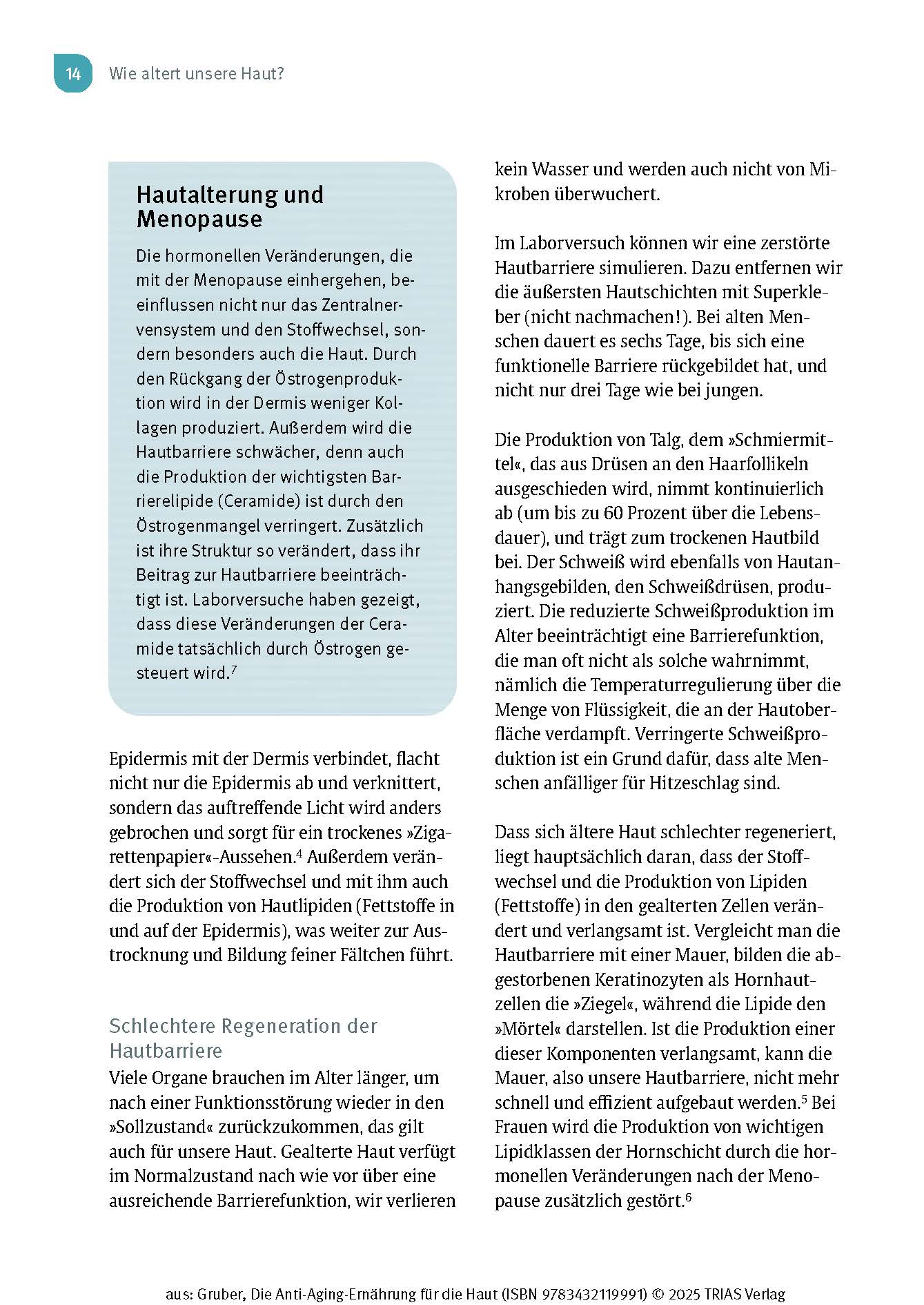 Die Anti-Aging-Ernährung für die Haut