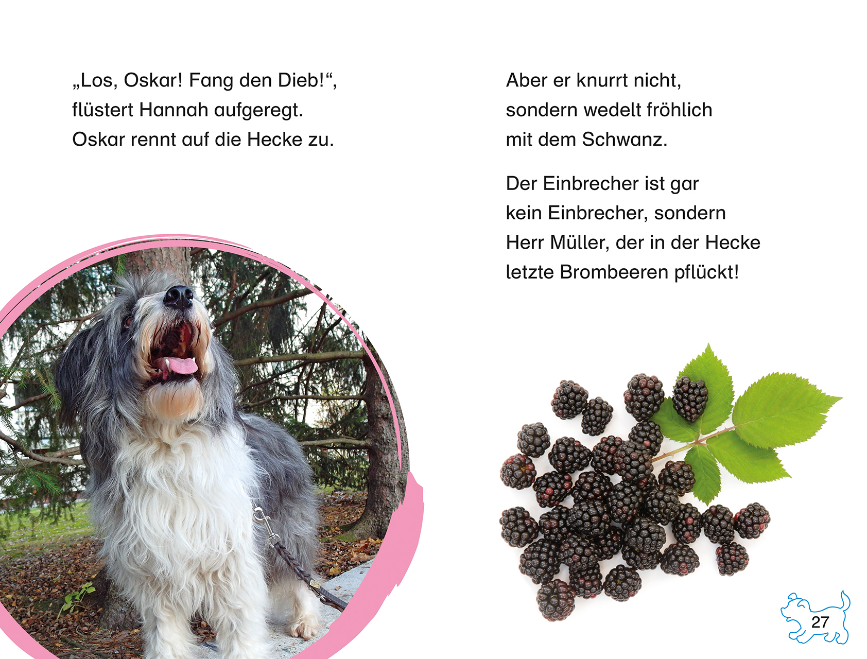 SUPERLESER! Ein Ferienhund für Hannah