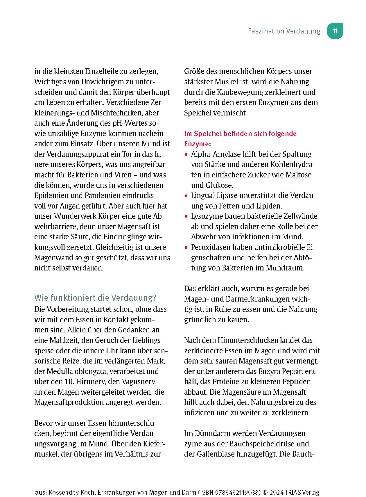 Naturheilpraxis: Erkrankungen von Magen und Darm