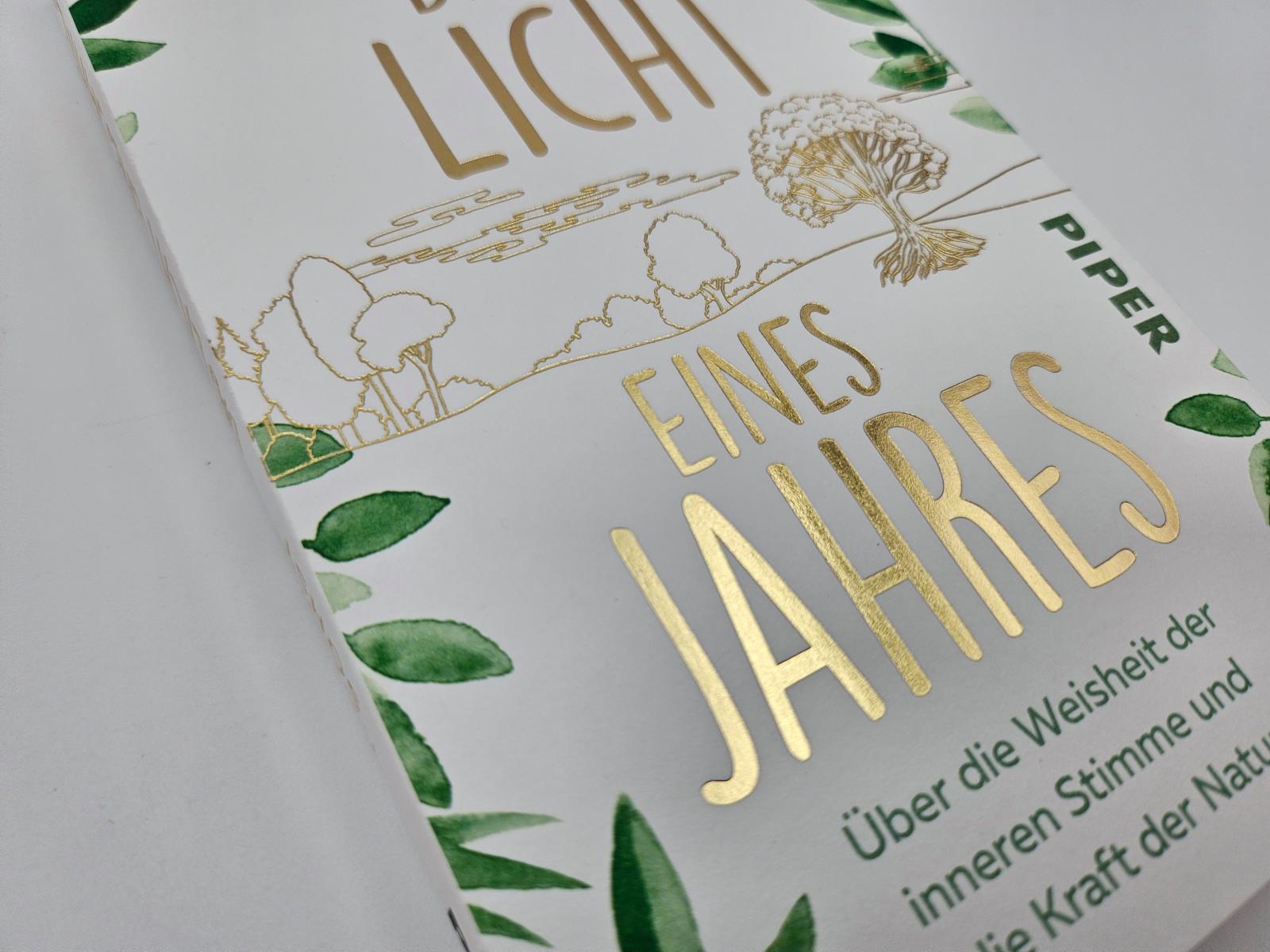 Das Licht eines Jahres
