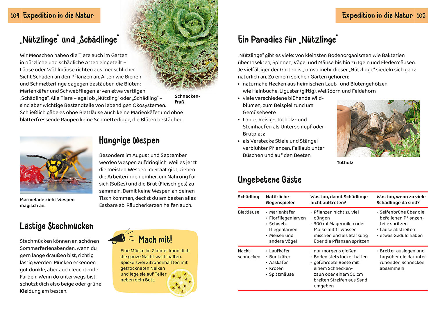 Was lebt im Garten? Kindernaturführer