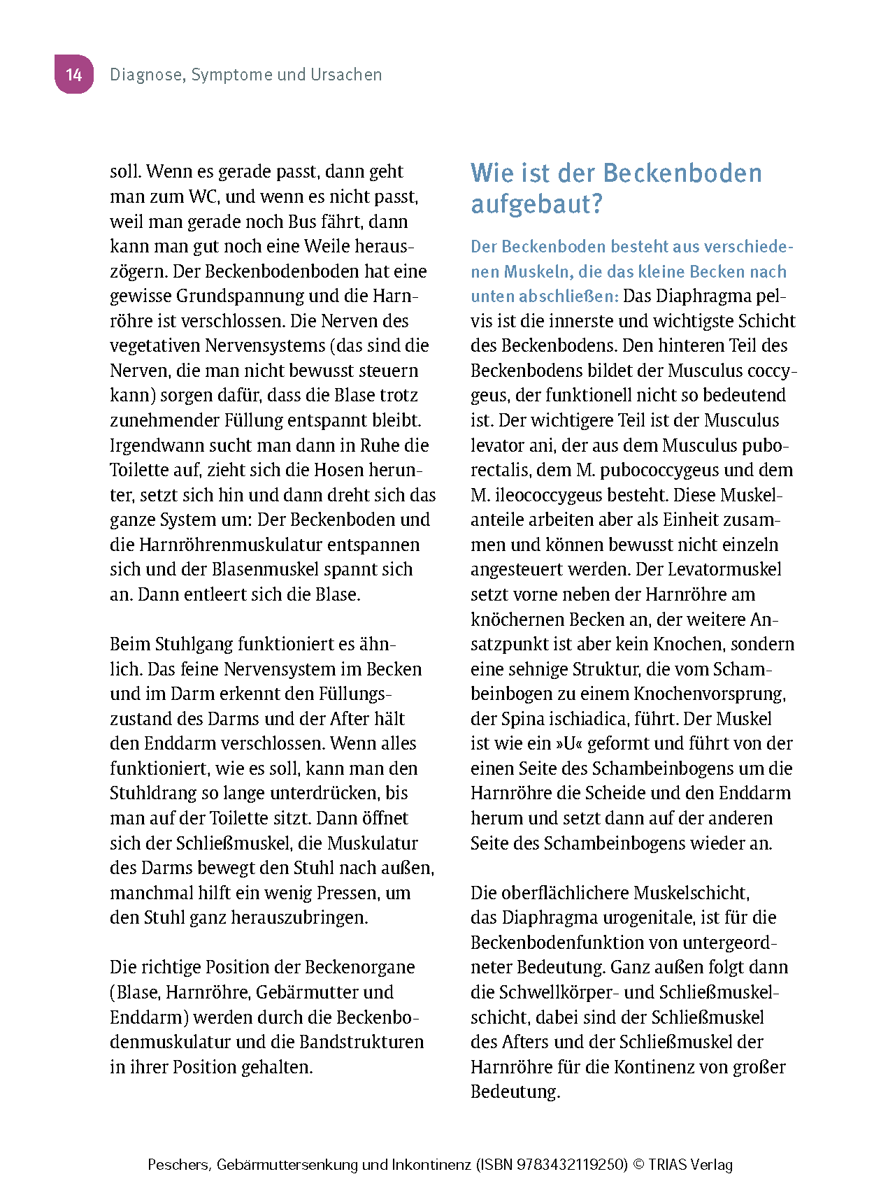 Frauengesundheit: Gebärmuttersenkung und Inkontinenz