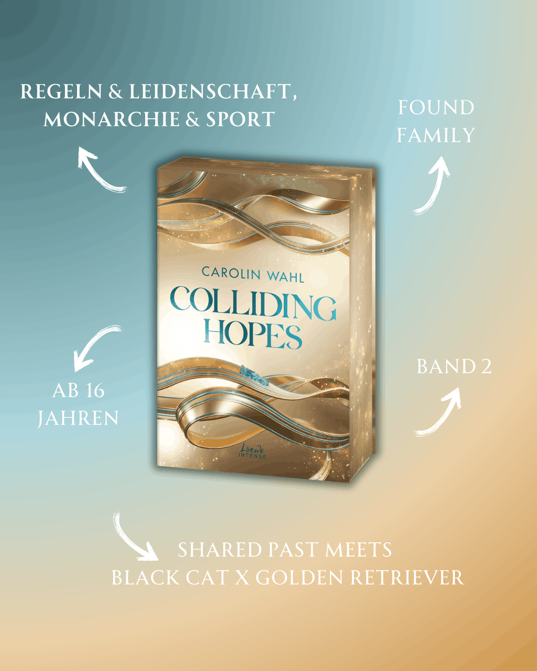 Colliding Hopes (Driven Dreams-Dilogie, Band 2)