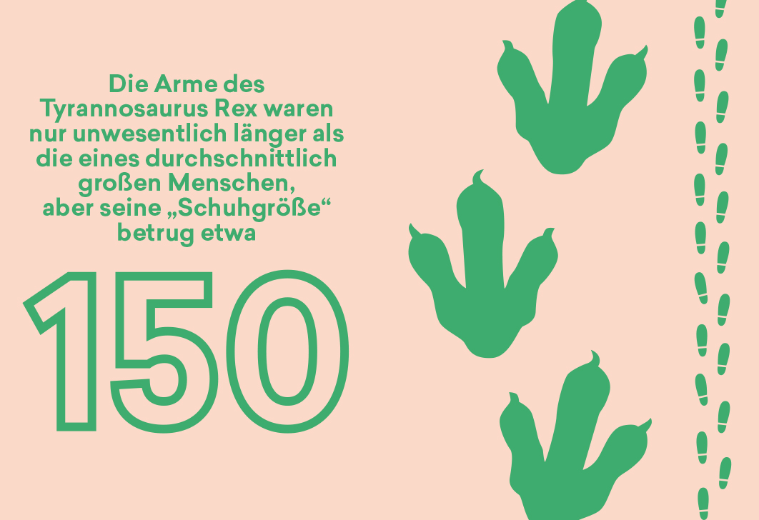Das Maß aller Dinge