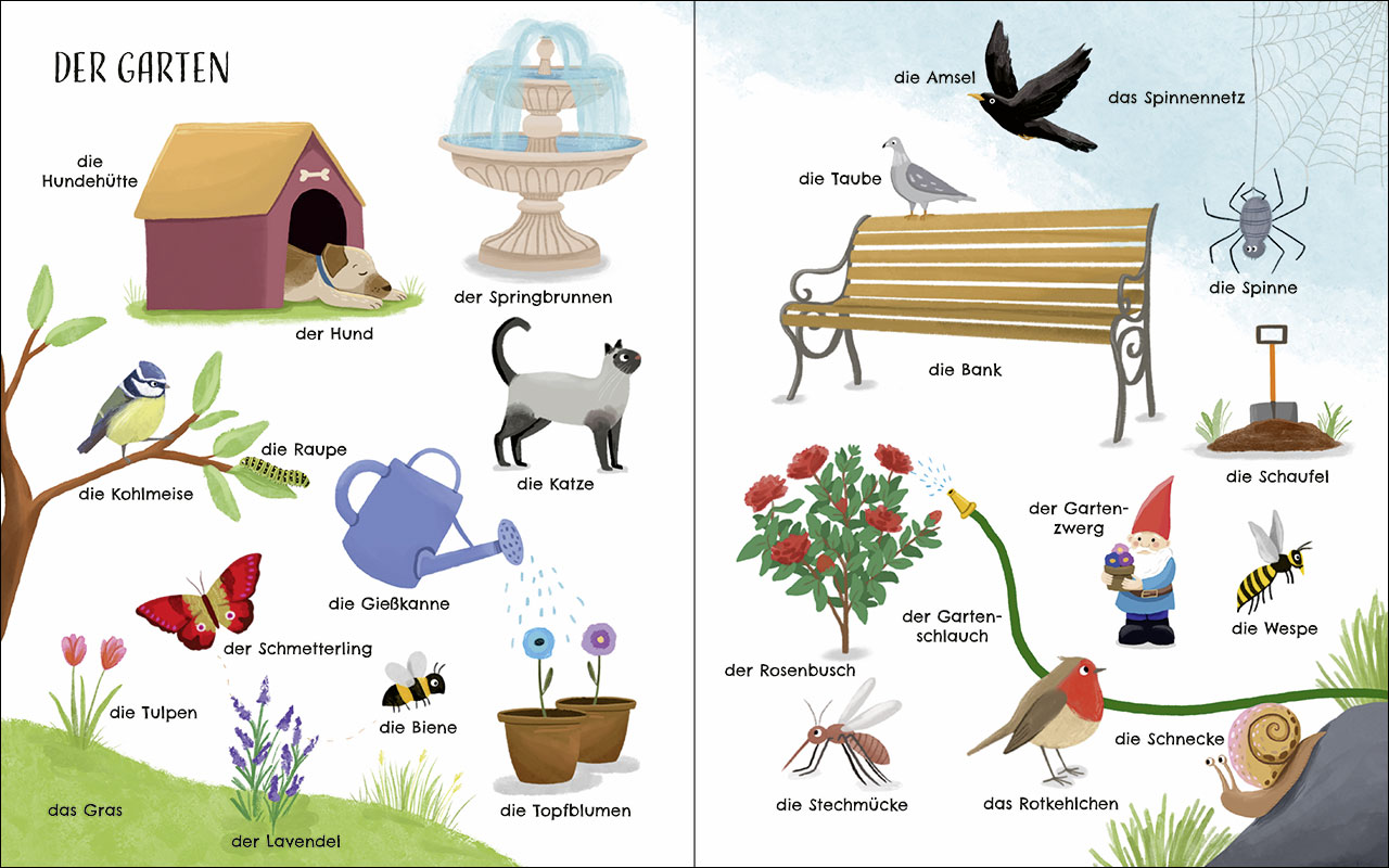 Entdecke die Welt der Tiere - Mein schönstes Bildwörterbuch