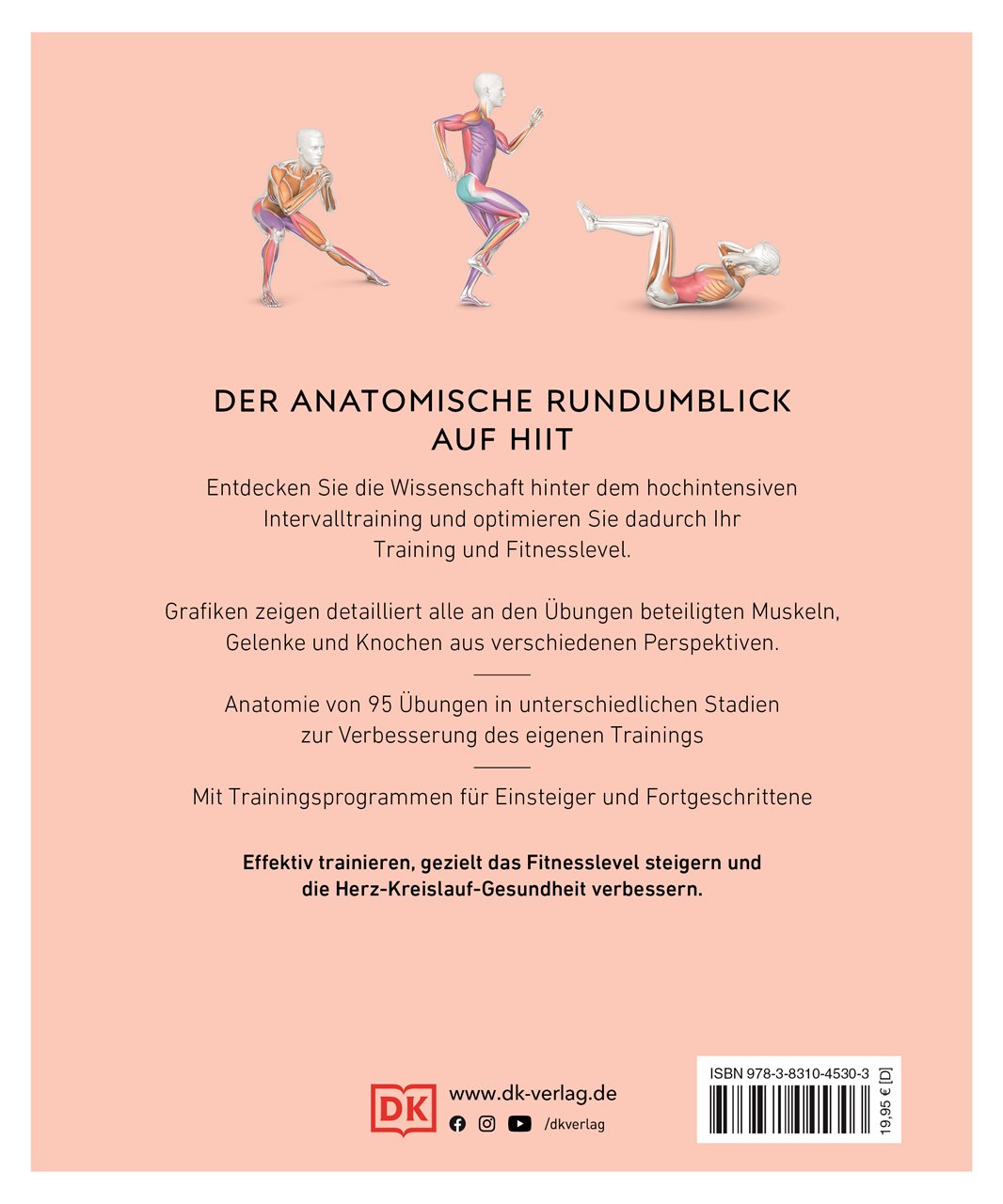 HIIT - Die Anatomie verstehen