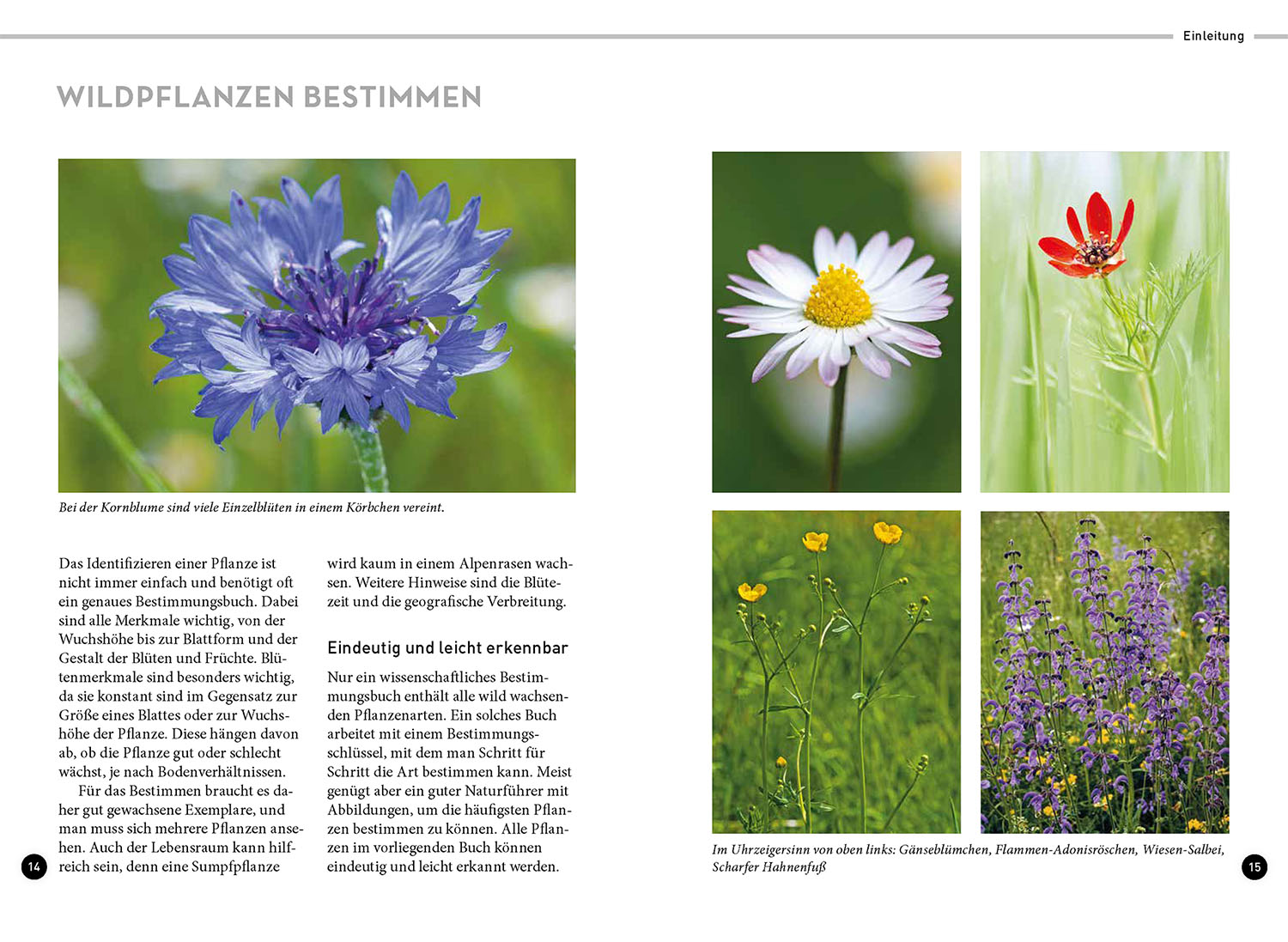 Lieblingsblumen