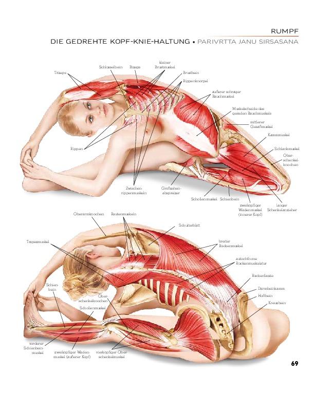 YOGA - Atlas der Anatomie