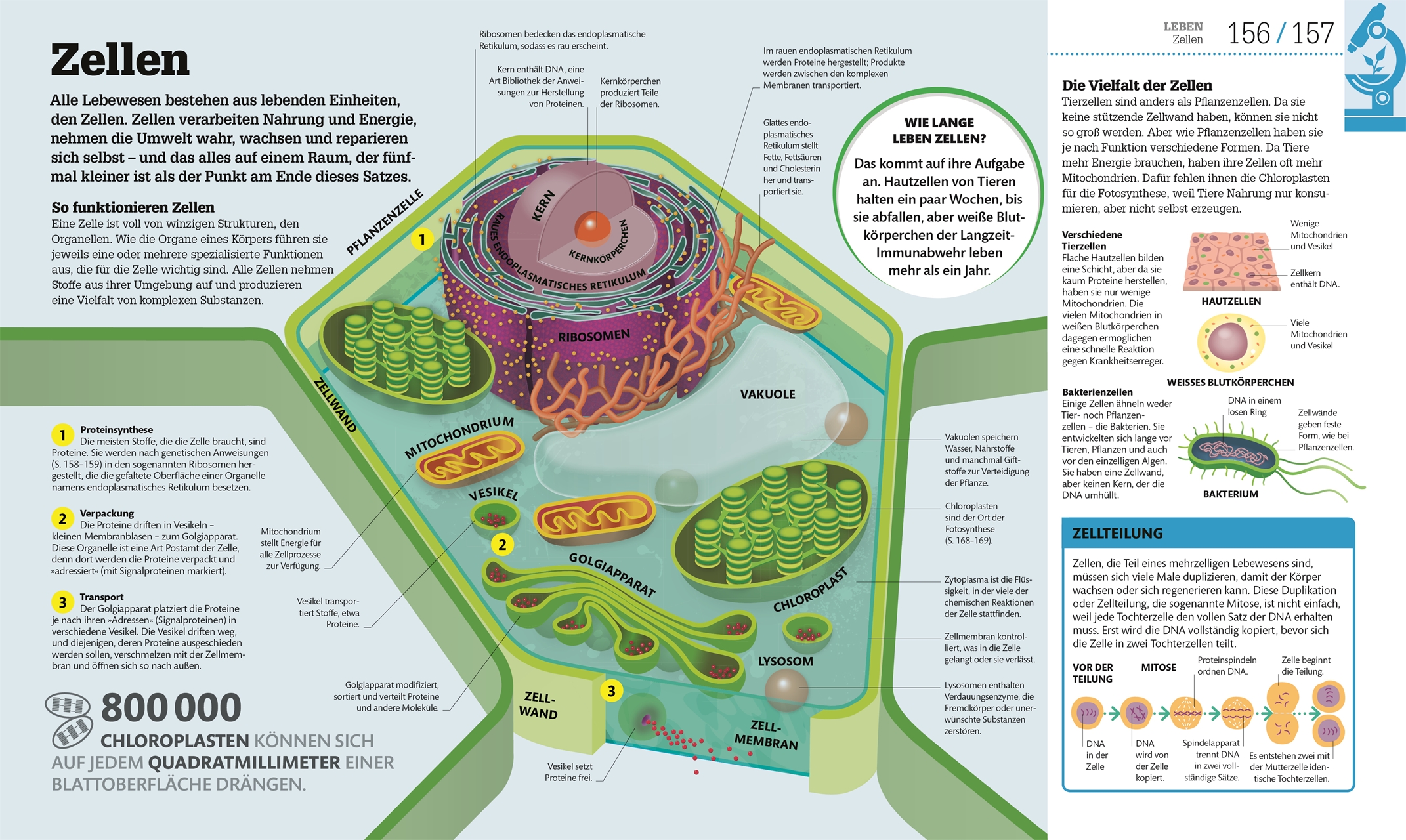 #dkinfografik. Naturwissenschaften