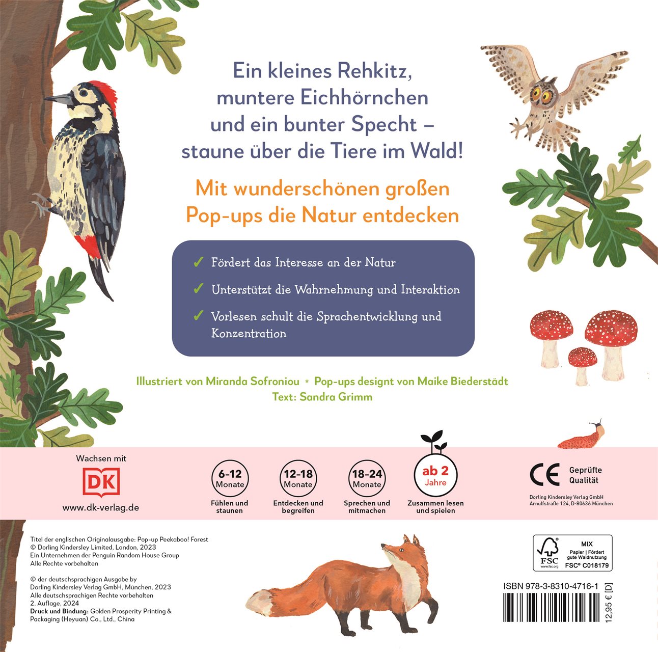 Mein Pop-up-Buch zum Staunen. Wer lebt im Wald?