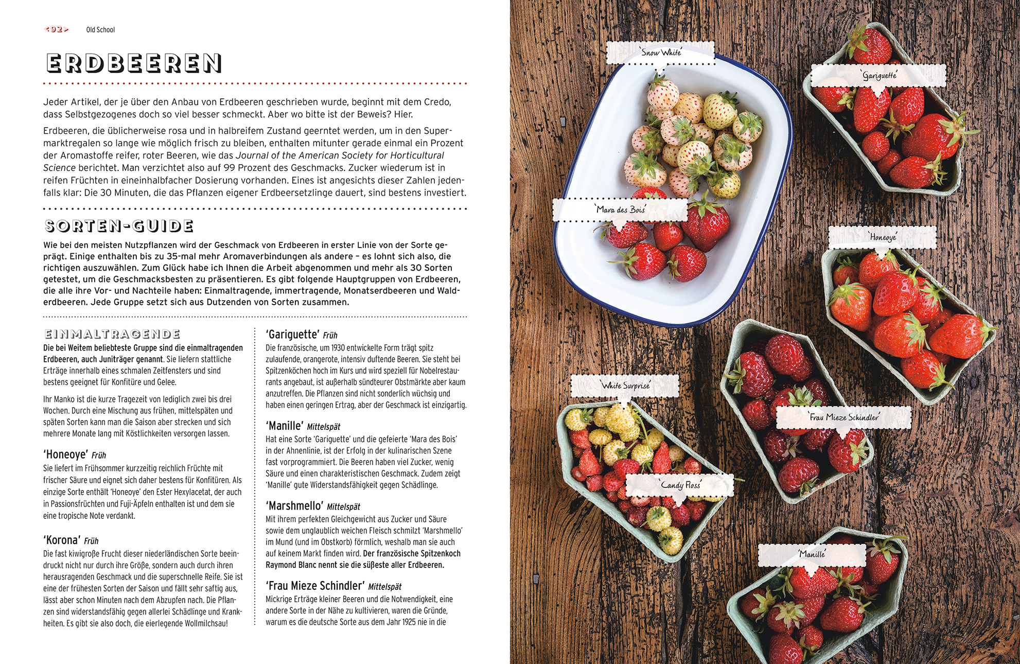 Aroma-Revolution im Garten