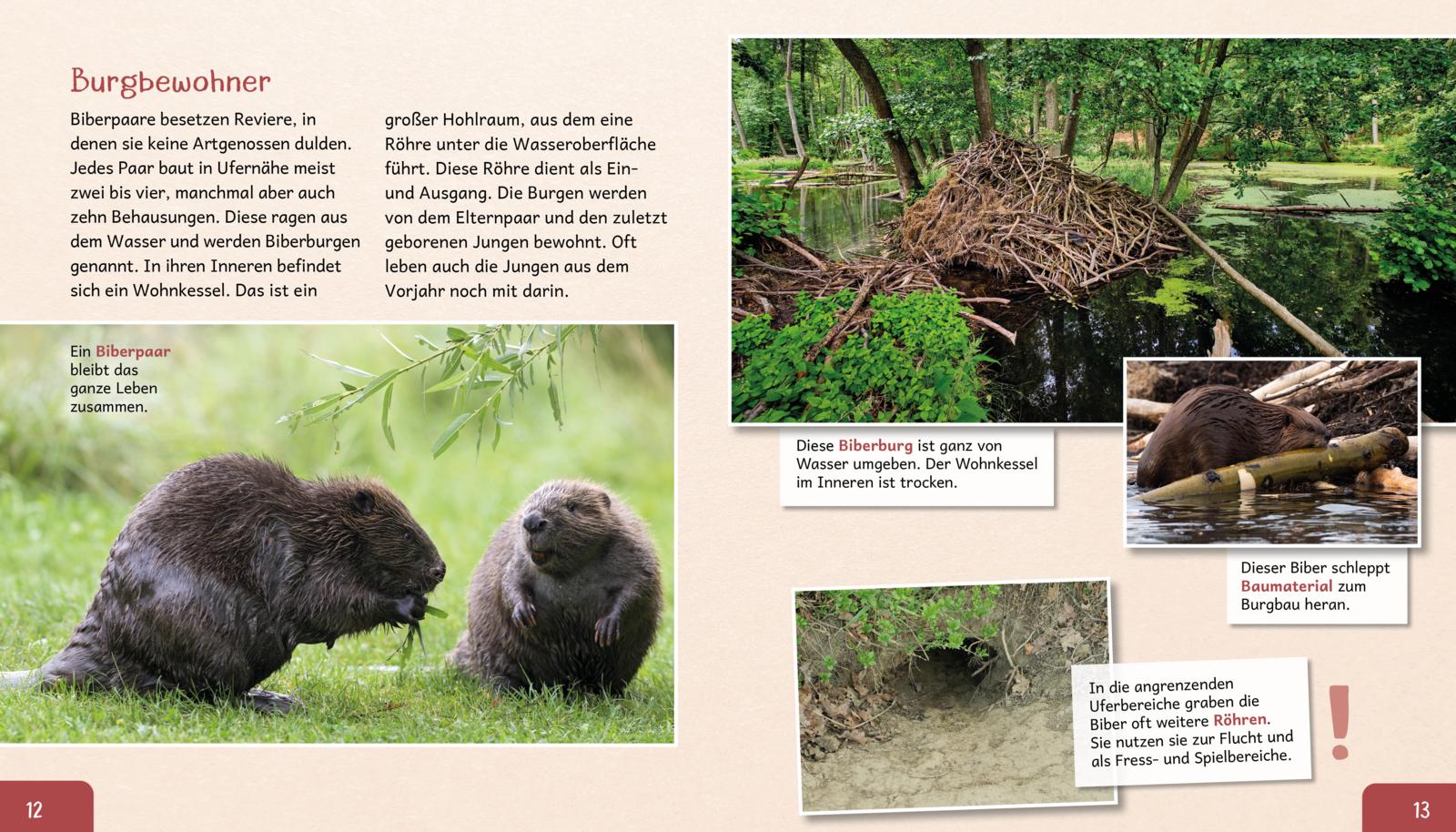 Meine große Tierbibliothek: Der Biber