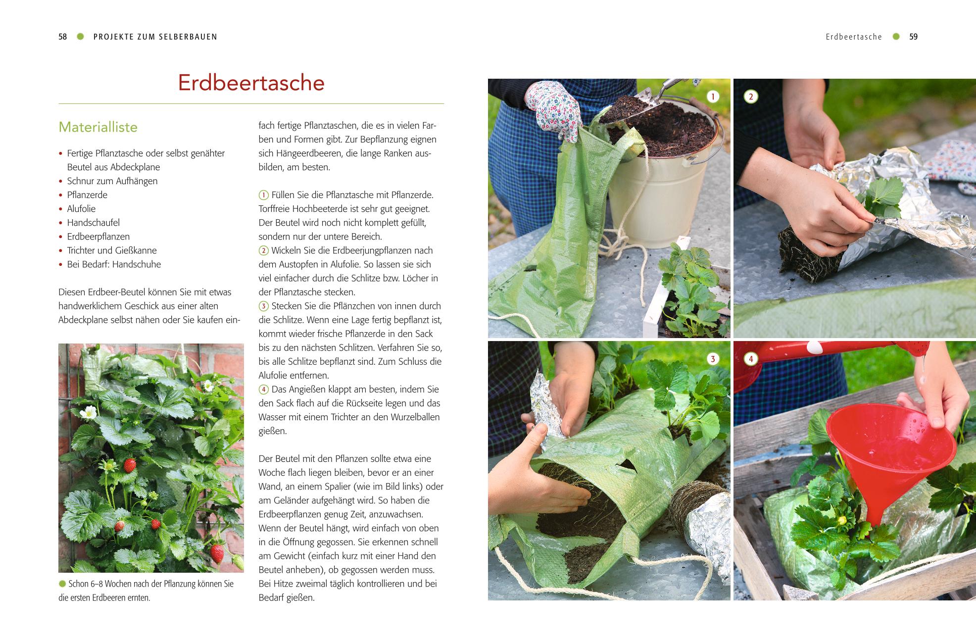 Vertical gardening