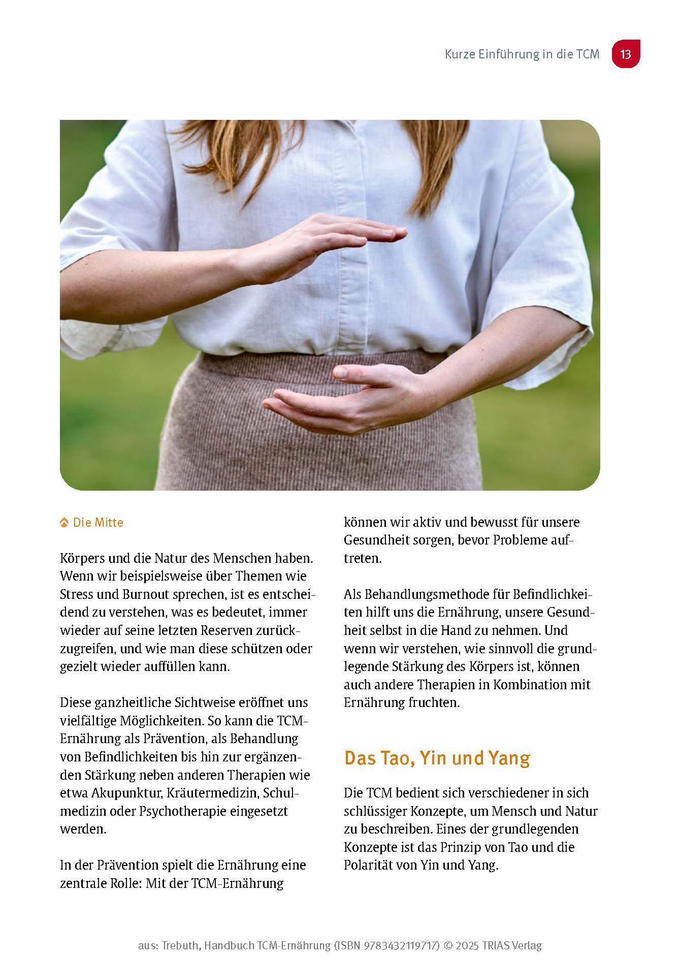 Handbuch TCM-Ernährung