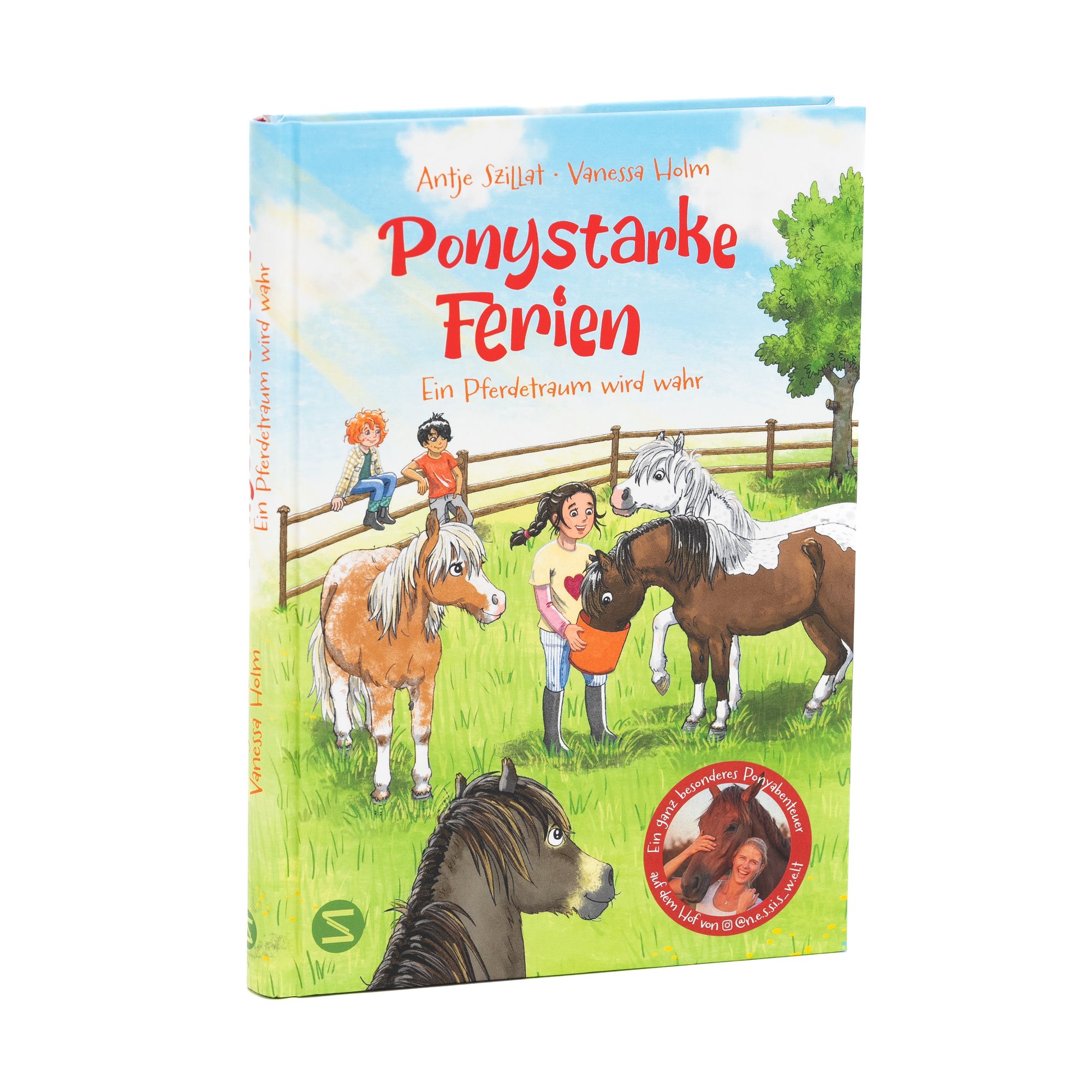 Ponystarke Ferien. Ein Pferdetraum wird wahr (Band 1)