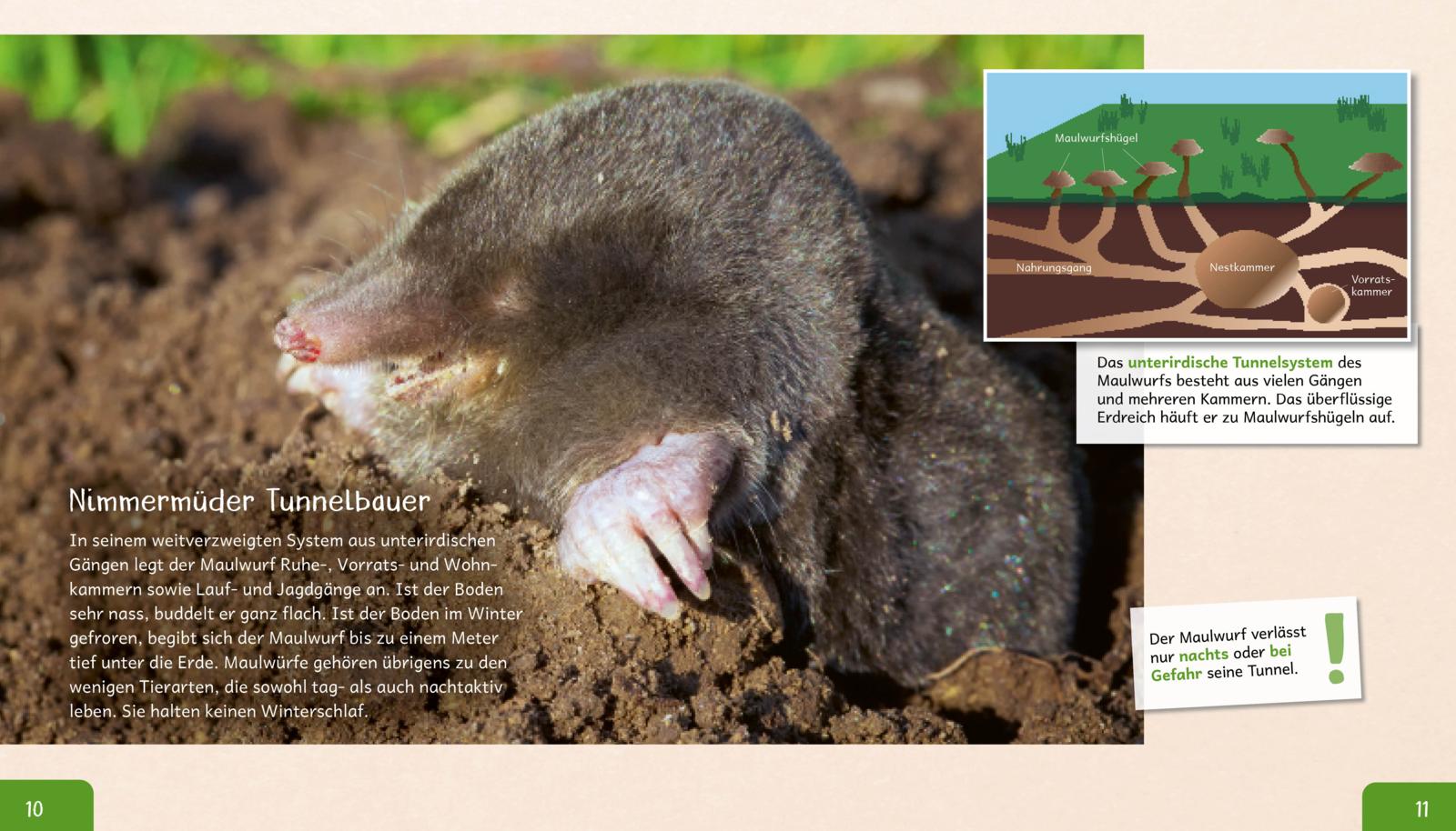 Meine große Tierbibliothek: Der Maulwurf