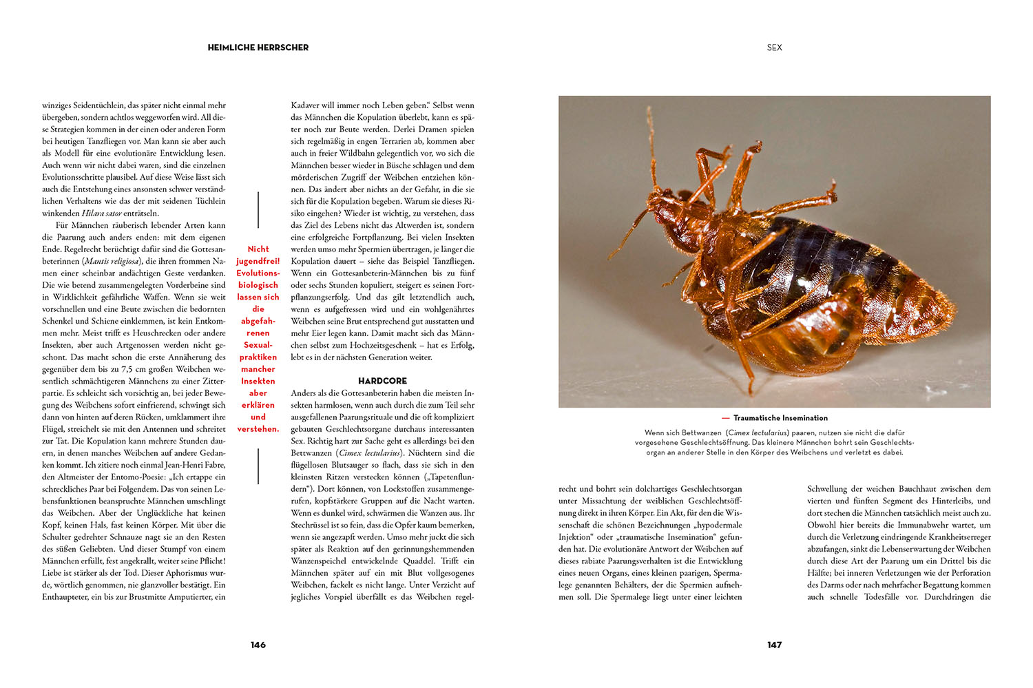 Insekten - Heimliche Herrscher