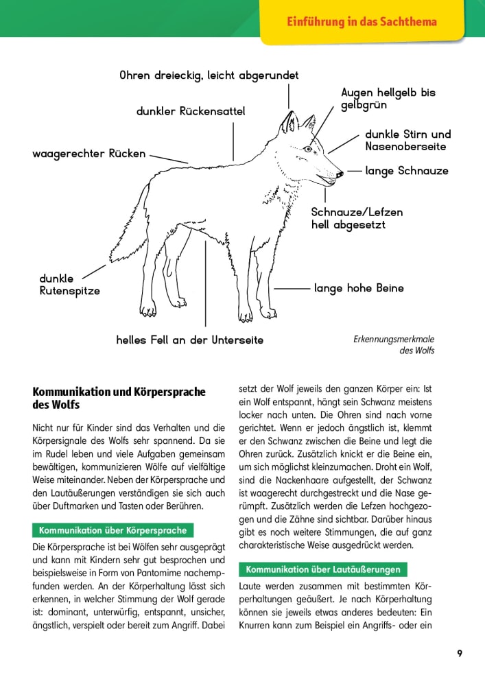 Arbeitsmaterial Grundschule. Sachunterricht: Der Wolf.