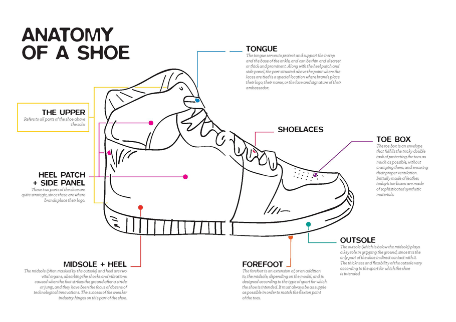 1000 Sneakers