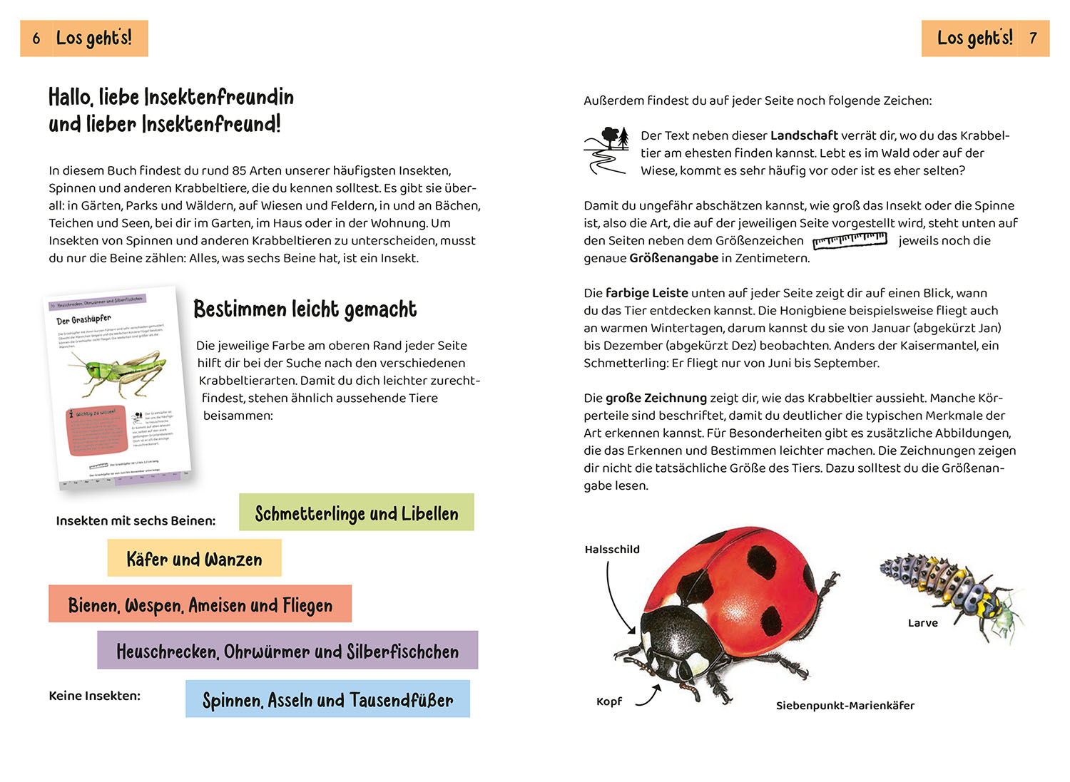 Was krabbelt denn da? Kindernaturführer