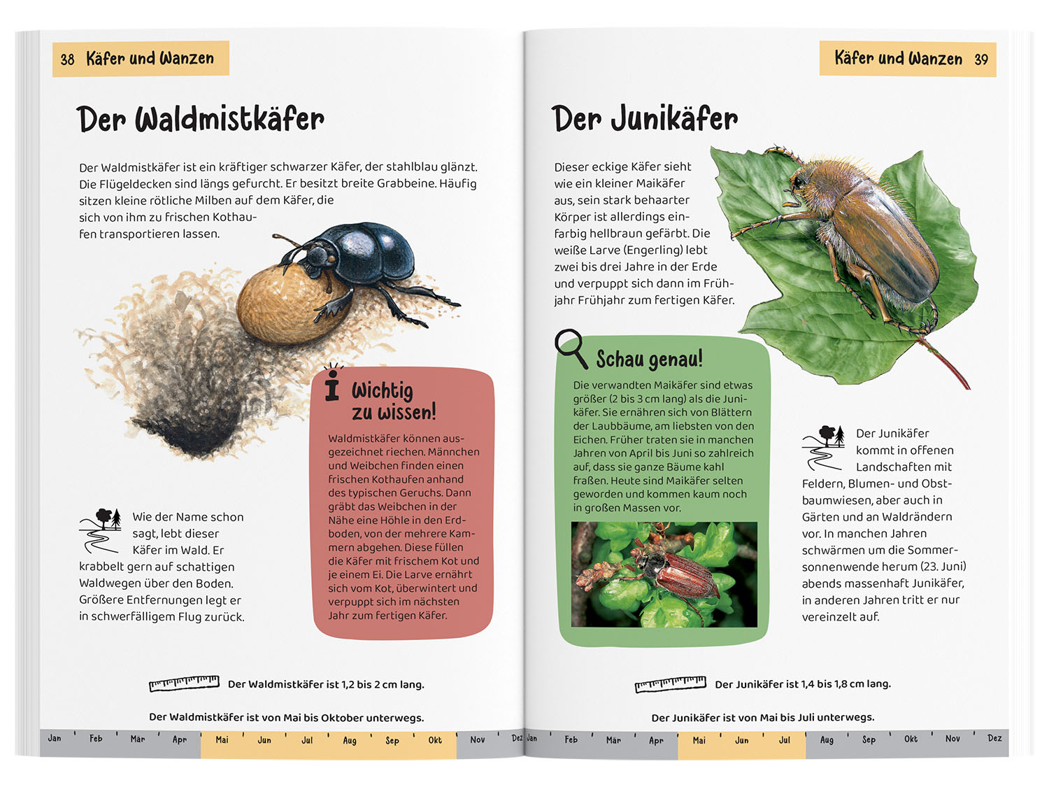 Was krabbelt denn da? Kindernaturführer