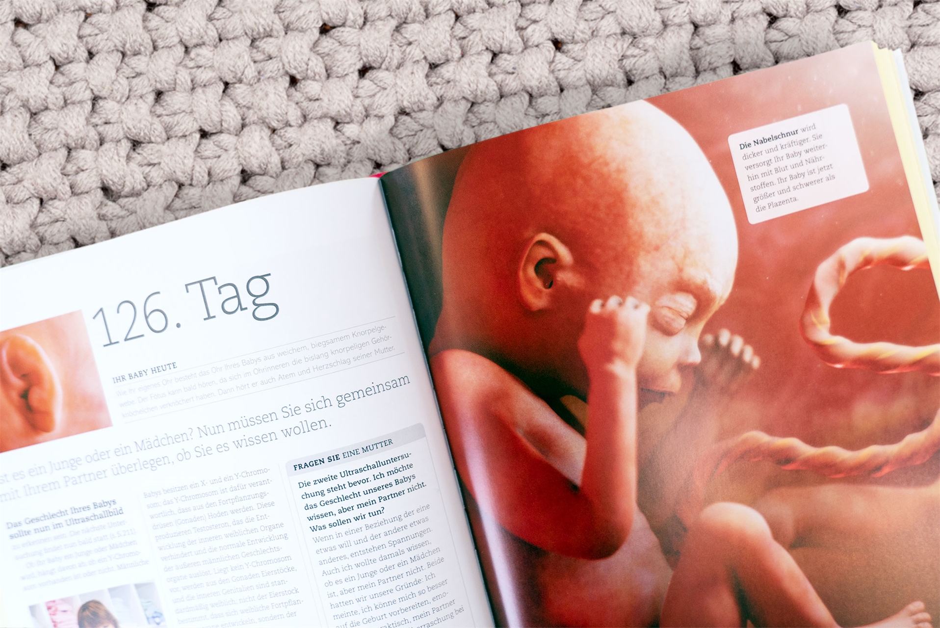 Alles über meine Schwangerschaft Tag für Tag
