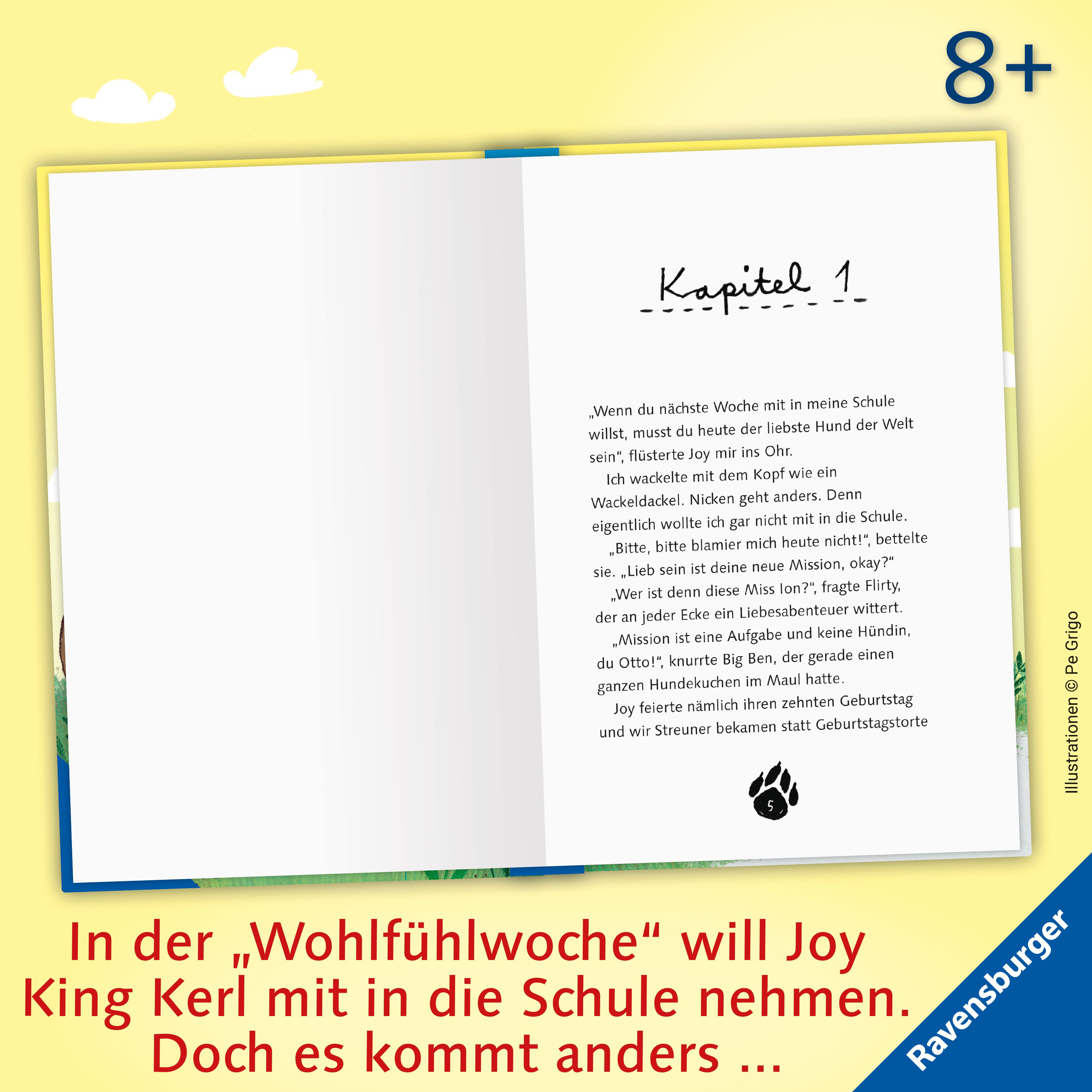 3 Streuner und der sprechende Berg