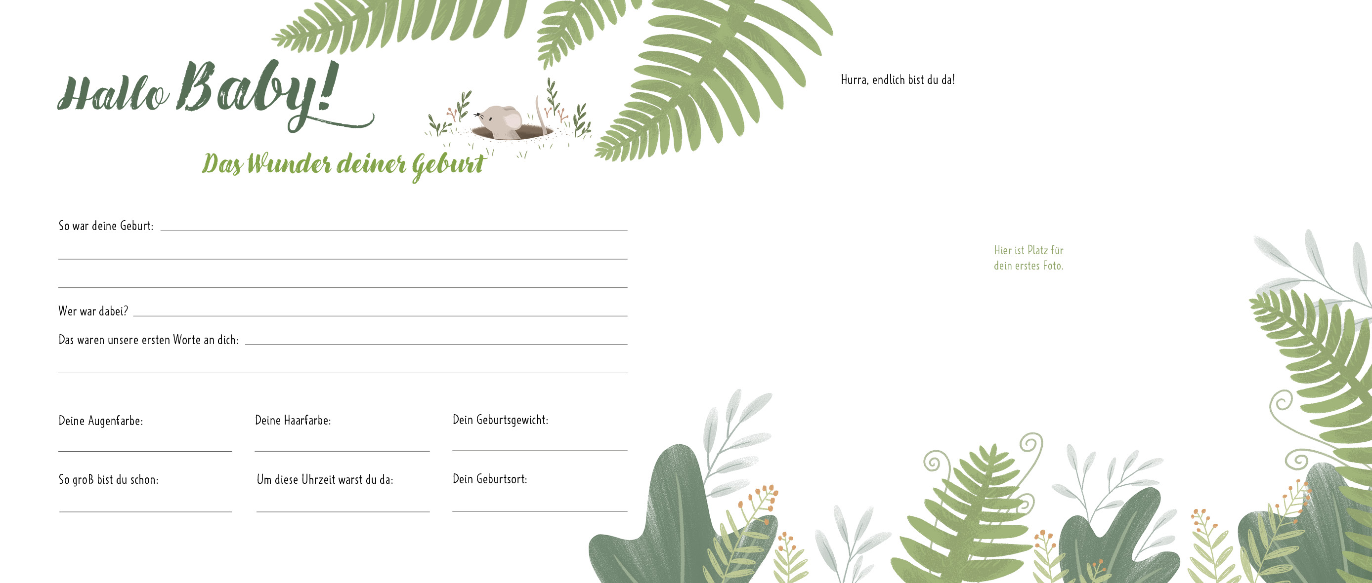 Hallo, kleiner Schatz! – Dein Babyalbum