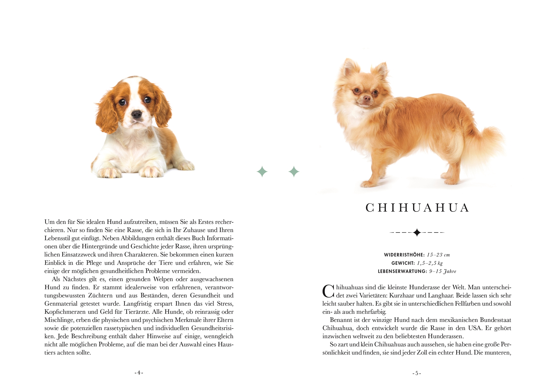 Naturelove. 50 besondere Hunde