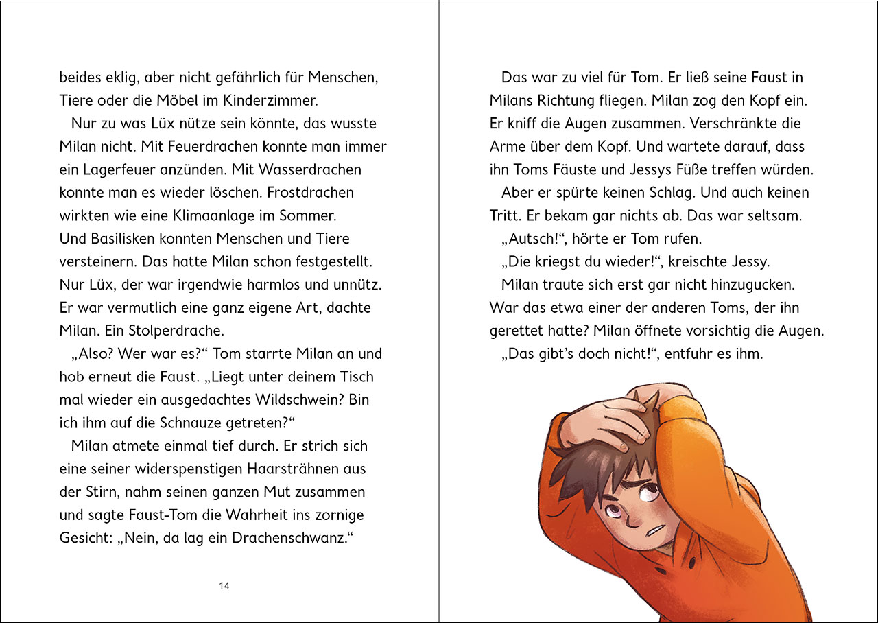 Drachenschule Nebelsturm (Band 1) - Im Sturzflug ins Abenteuer