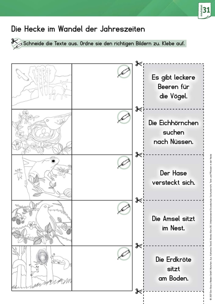 Arbeitsmaterial Grundschule. Sachunterricht: Tiere und Pflanzen in der Hecke