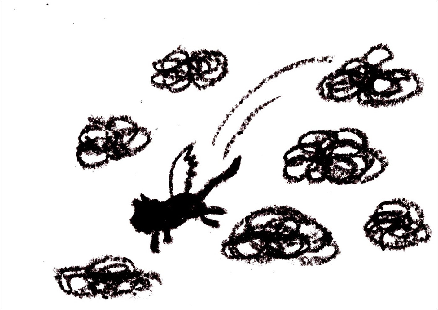 Unsichtbare Katzen