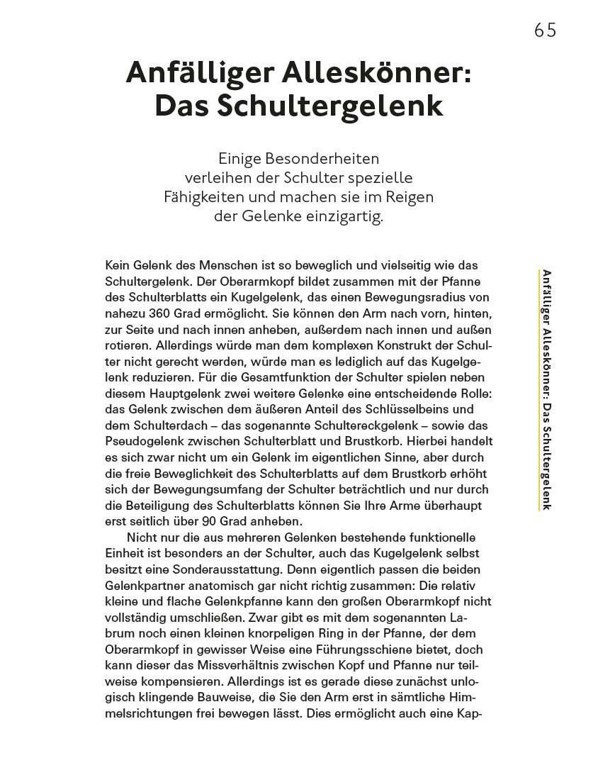 Fitte und starke Gelenke