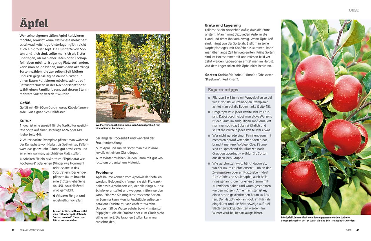 Frische Ernte ohne Garten