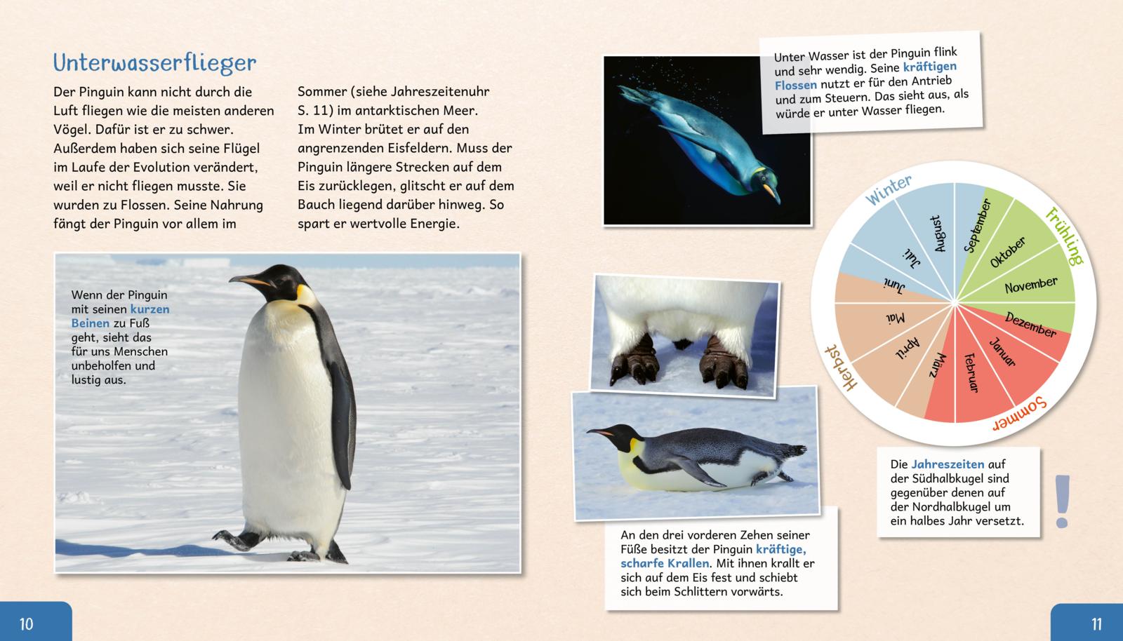 Meine große Tierbibliothek: Der Pinguin
