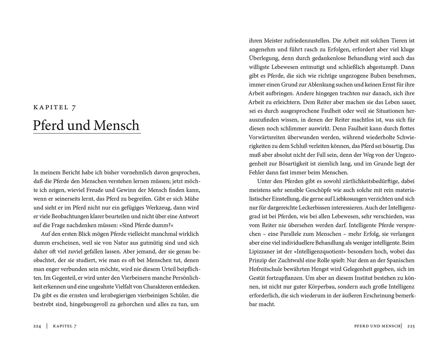 Meine Lehrmeister die Pferde