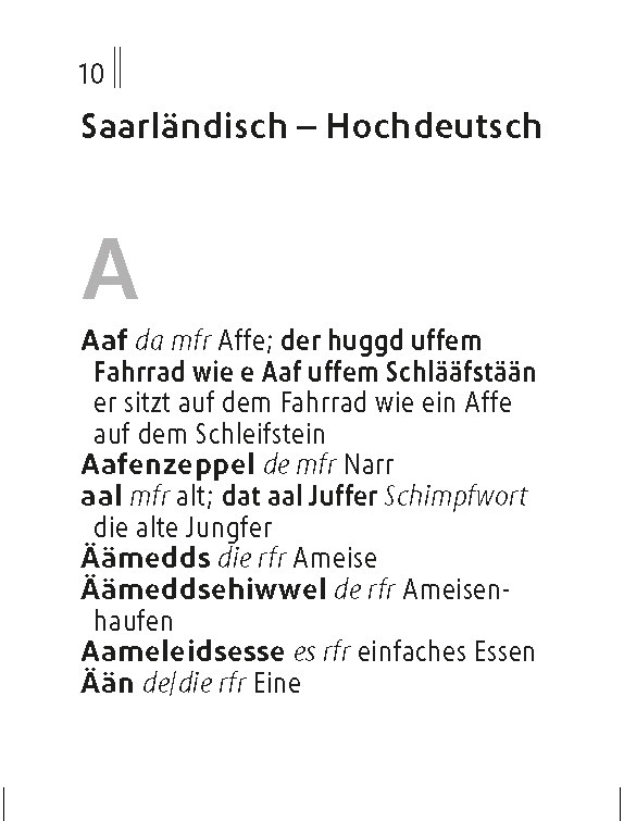 Langenscheidt Lilliput Saarländisch