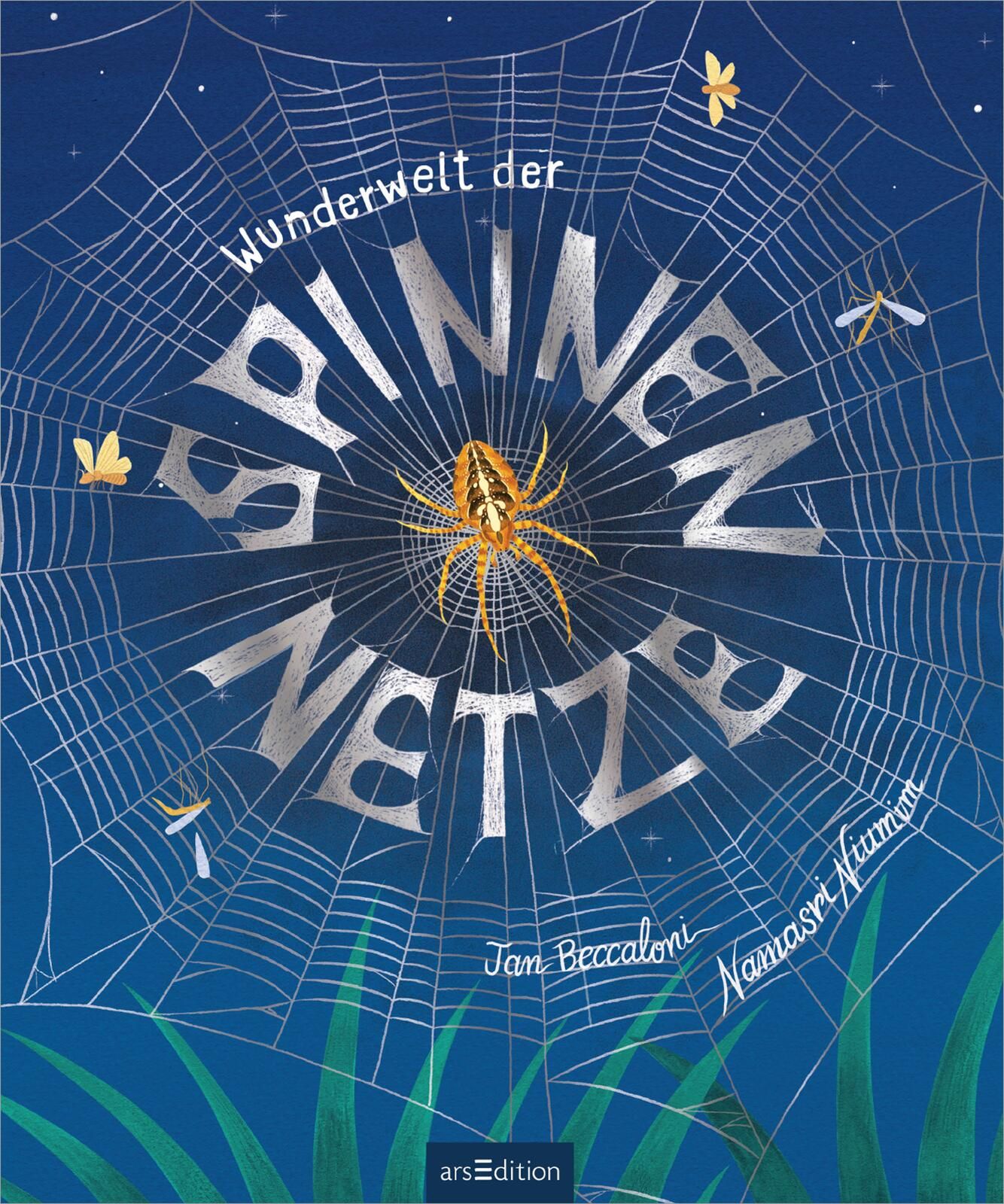 Wunderwelt der Spinnennetze