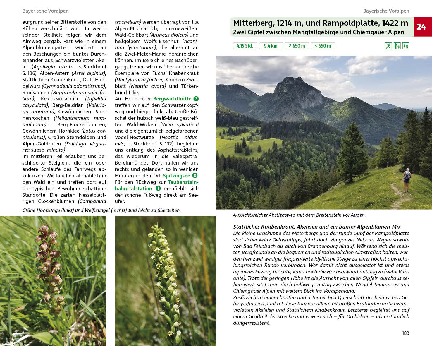 Blumenwanderungen Bayerische Alpen