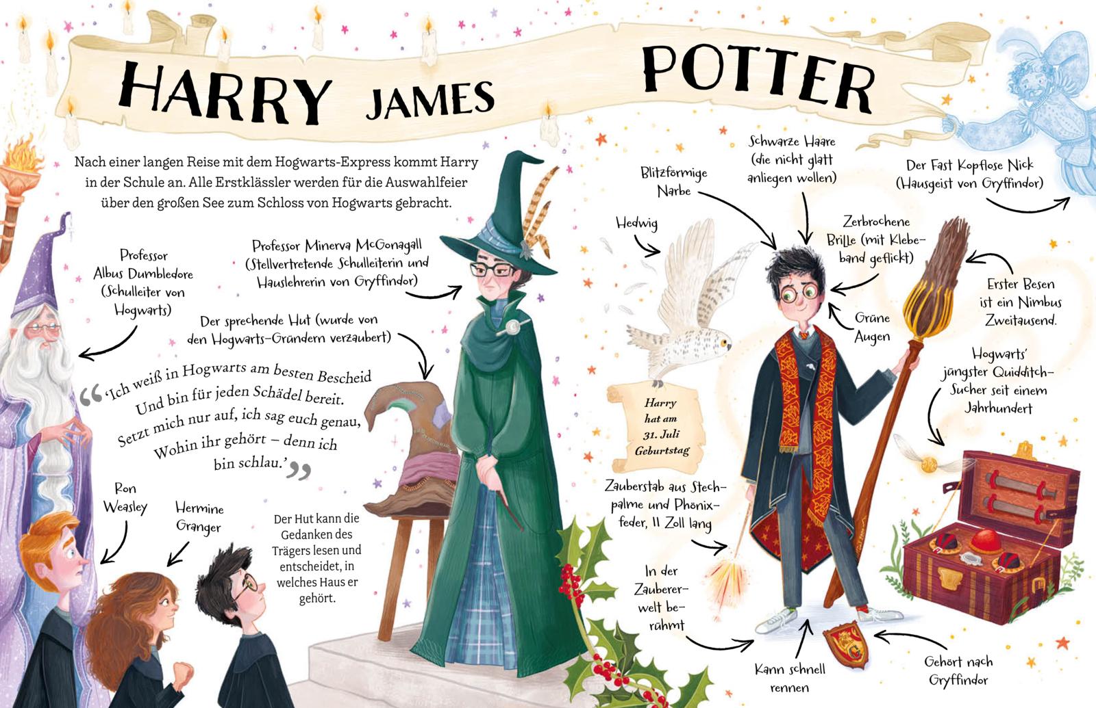 Potter Guides: Harry Potter