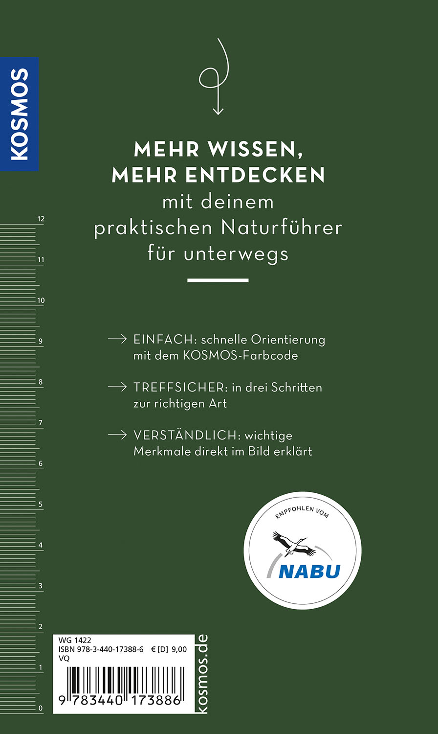 BASIC Gartenvögel