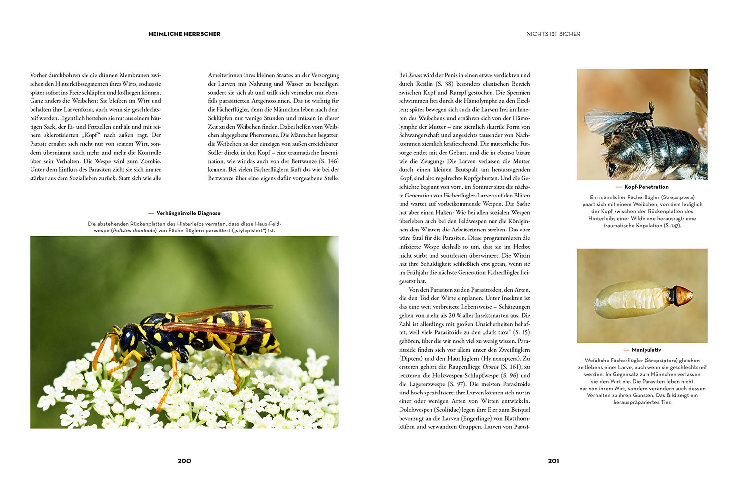 Insekten - Heimliche Herrscher