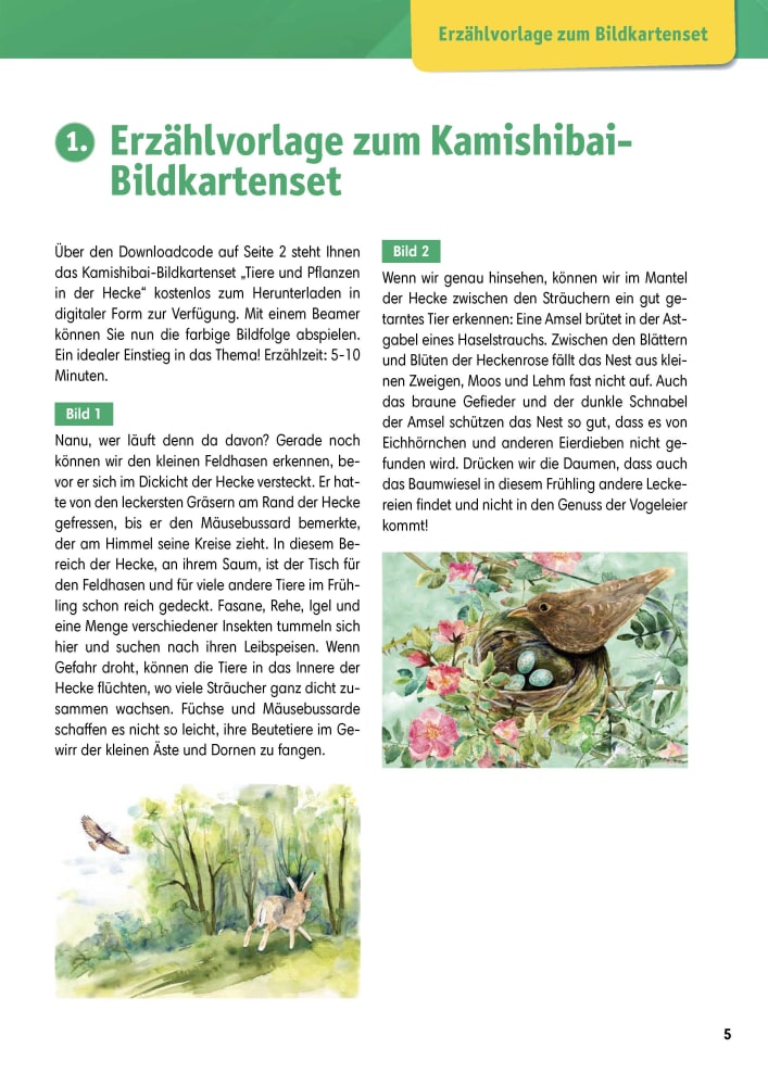 Arbeitsmaterial Grundschule. Sachunterricht: Tiere und Pflanzen in der Hecke