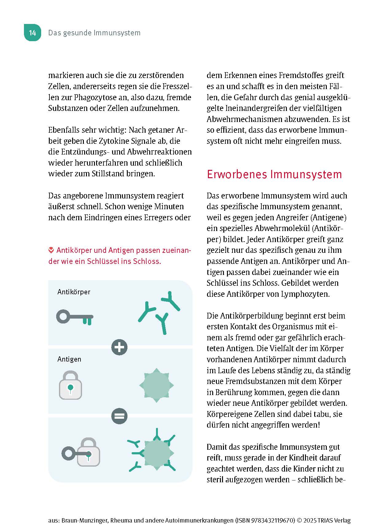 Naturheilpraxis: Rheuma und andere Autoimmunerkrankungen