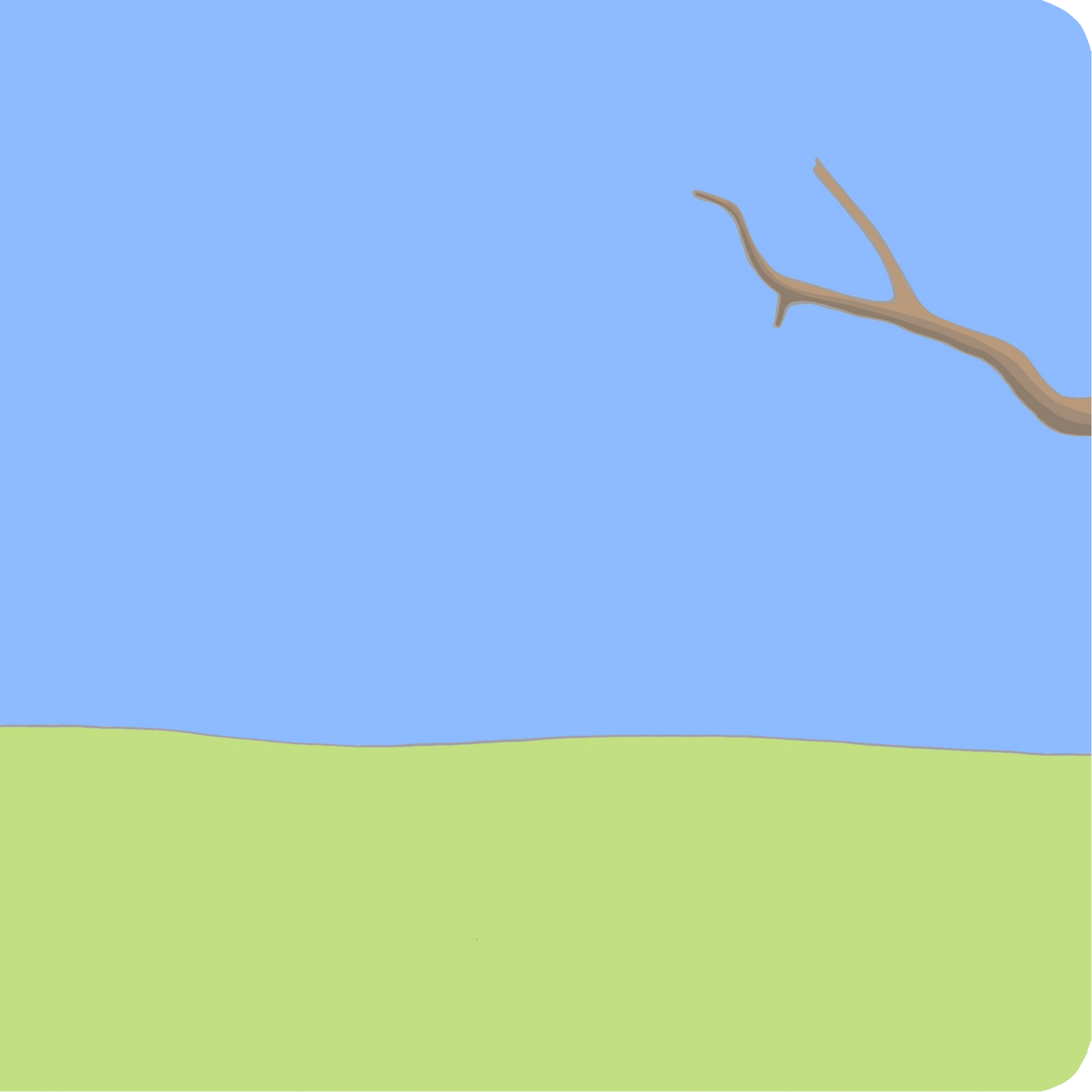 Ein-Bild-Wimmelbuch ab 1 Jahr - Wald