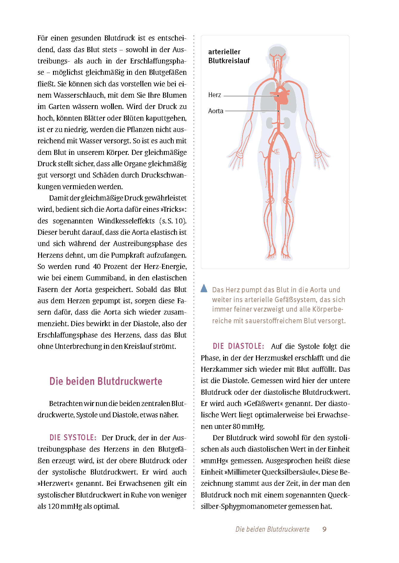 Expertenwissen: Bluthochdruck