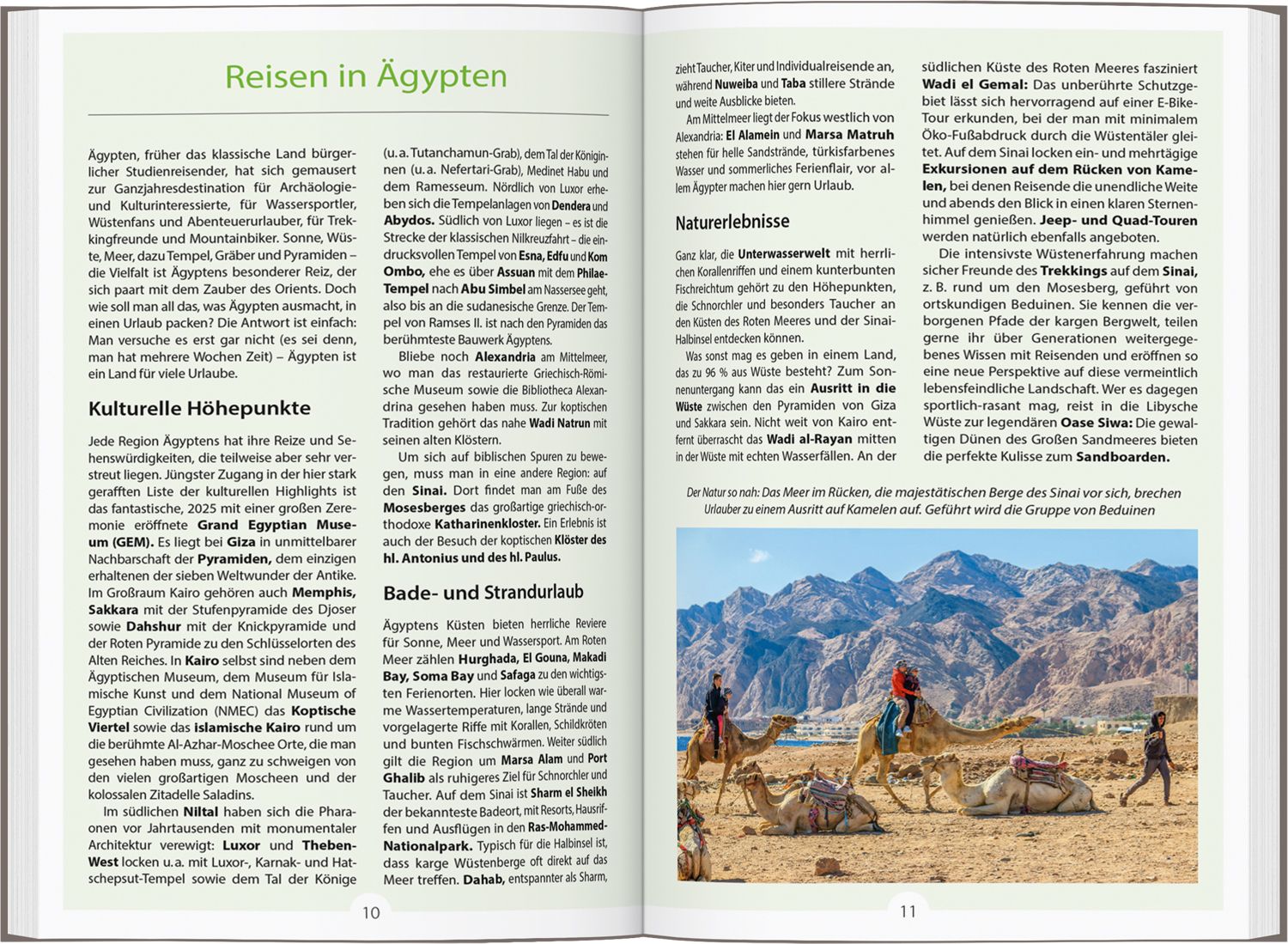 DUMONT Reise-Handbuch Reiseführer Ägypten