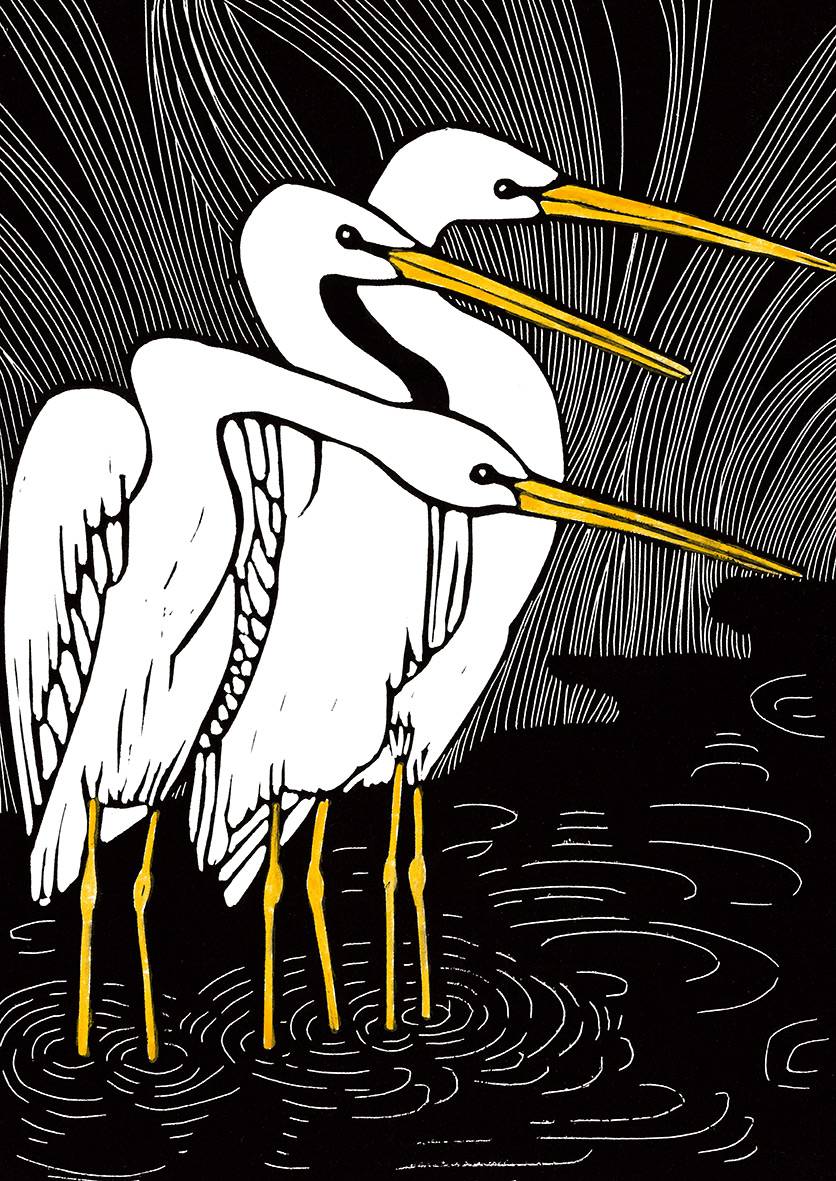 Das geht nie vorbei – Vogelmotive Postkartenbuch