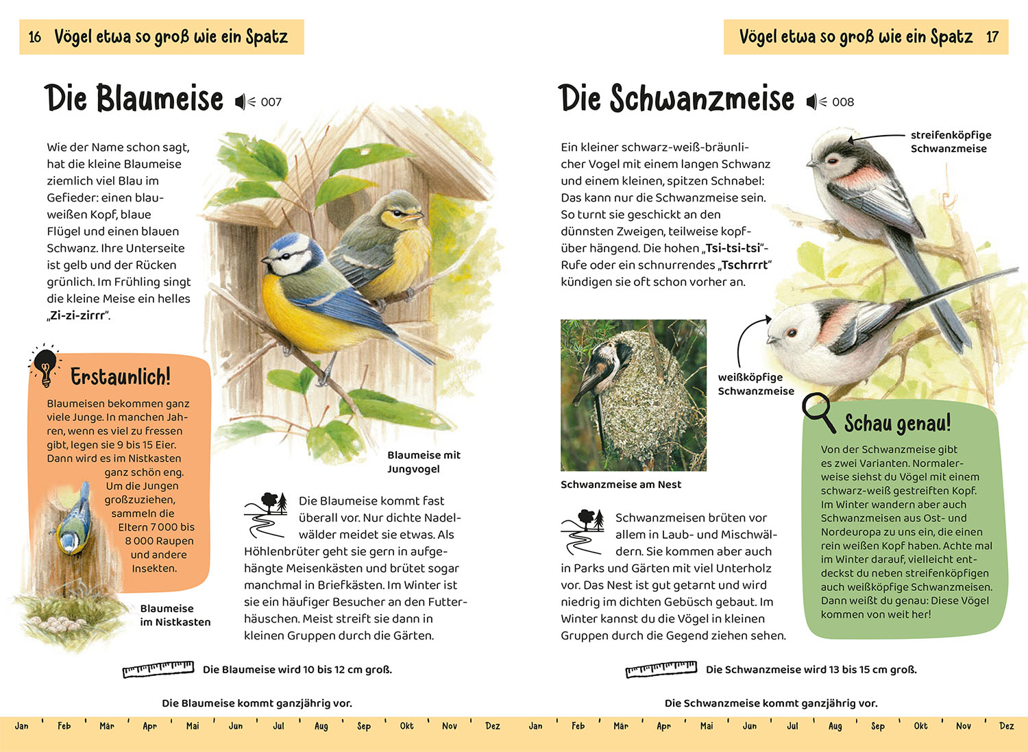 Welcher Gartenvogel ist das? Kindernaturführer