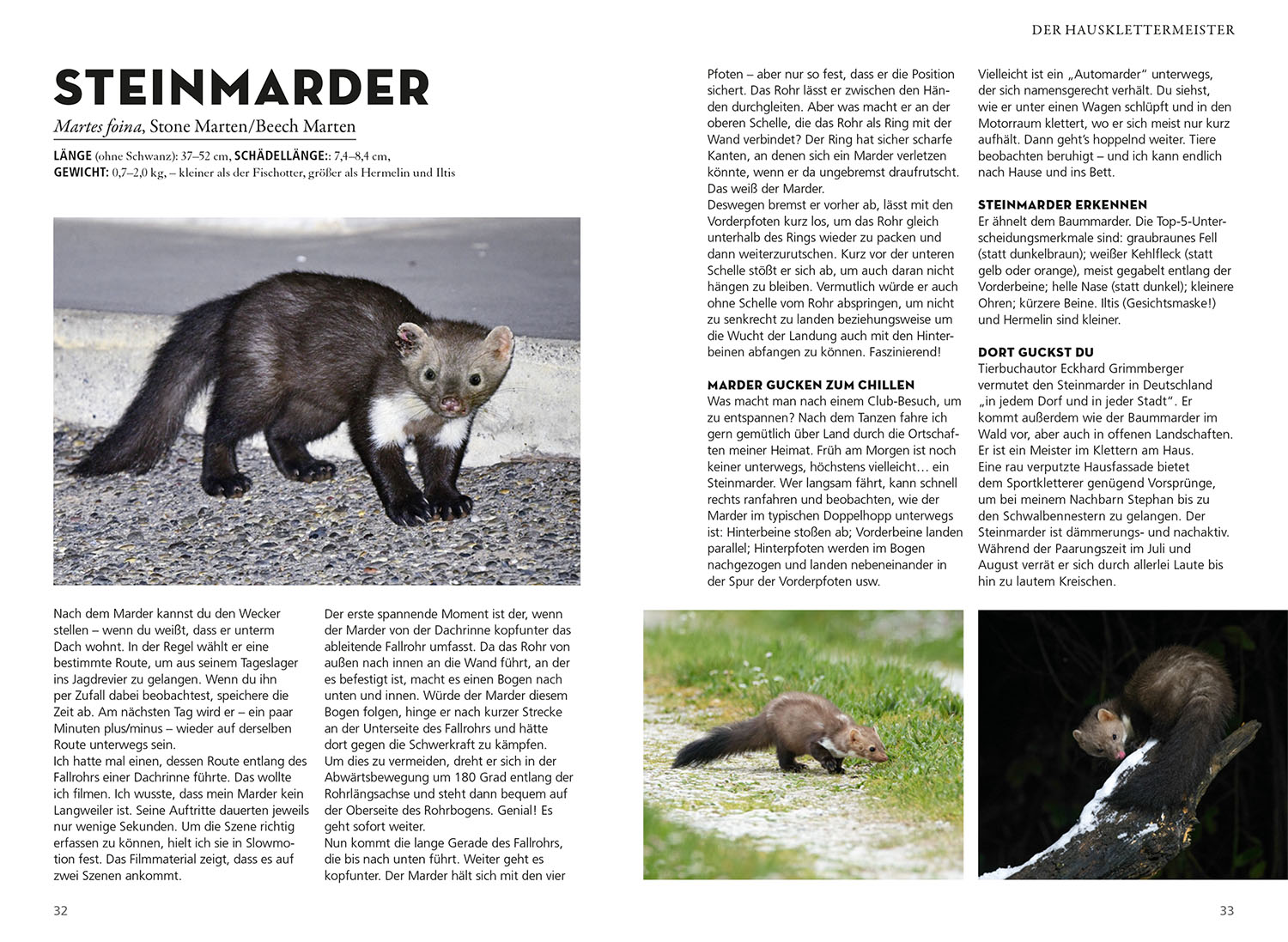 Die siehst du - Die Tiere um dich herum